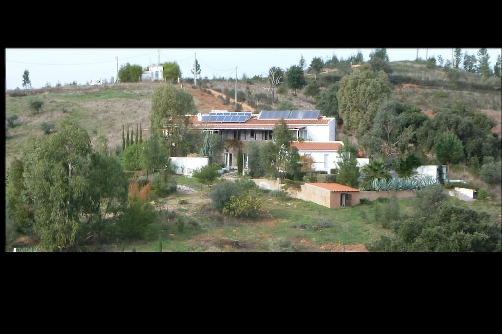 The Hillside House