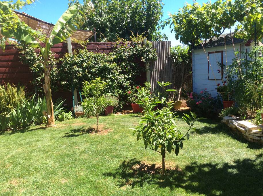 Jardin