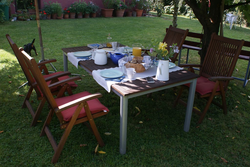 Breakfast in the garden