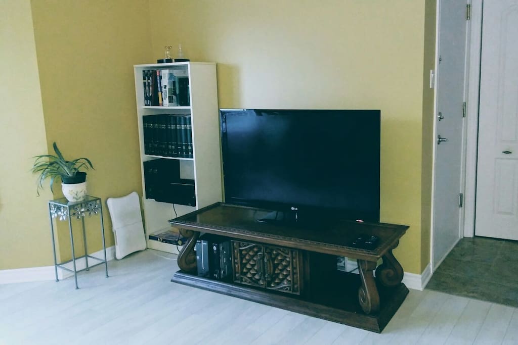 common space: tv with cable