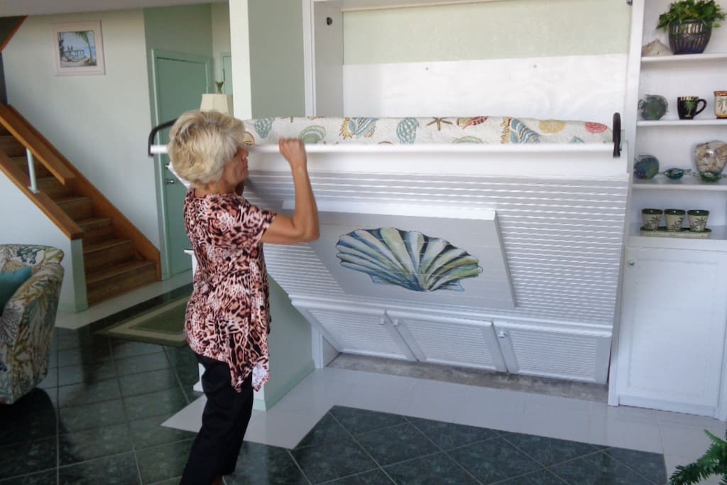 Queen Size Murphy Bed in Living Area!