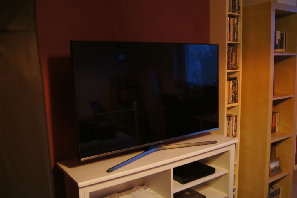 New 48'' LED screen with some channels, blu-ray player and many DVDs that guests are welcome to use :)