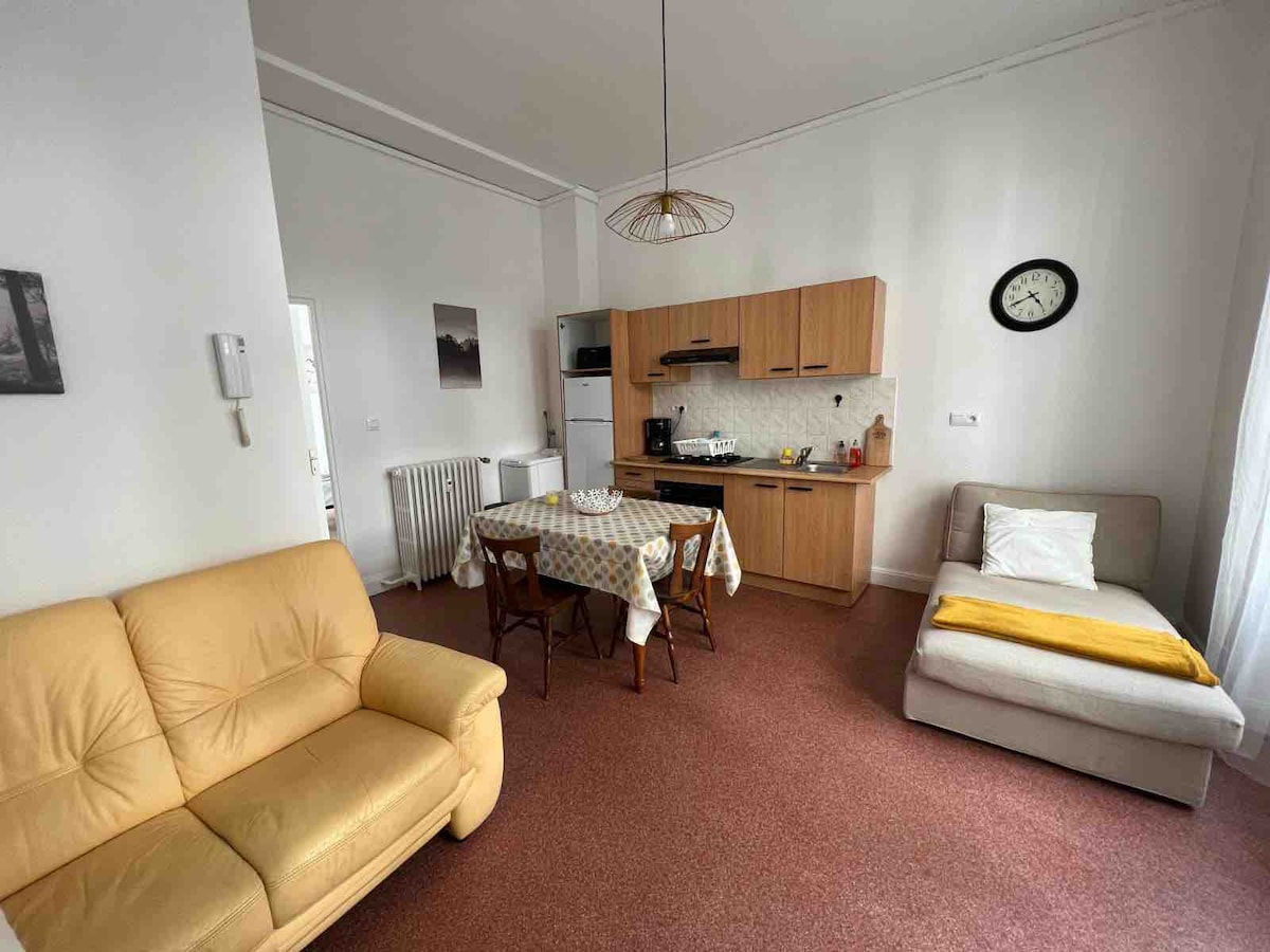 Propiedad de Airbnb exitosa: Nice 2-room ground floor en Mont Dore