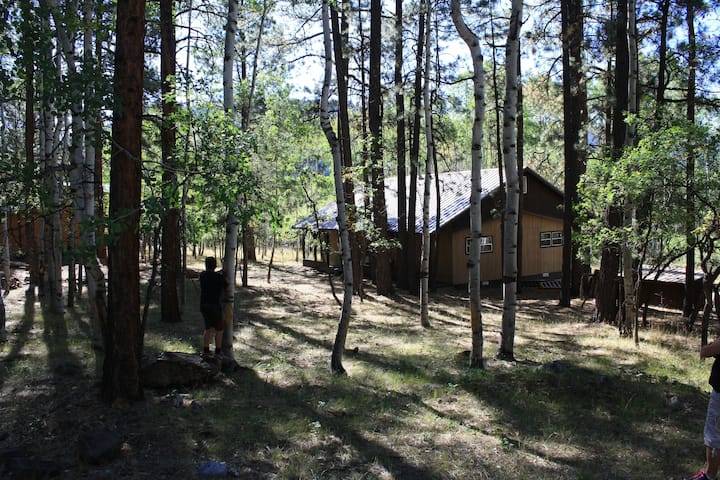 14 Best Cabins In Chama, New Mexico - Updated 2024 | Trip101