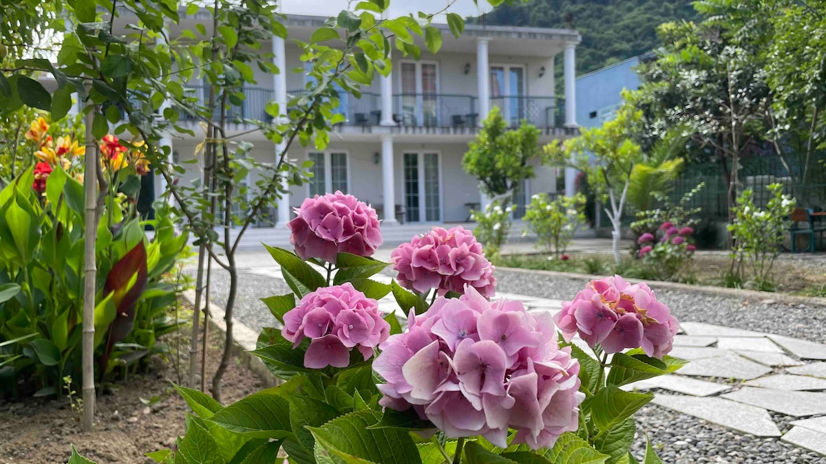A vibrant display of pink hydrangeas is situated in the foreground, with the two-story house visible in the backdrop. Lush greenery surrounds the property, and a variety of plants adds texture and color to the garden, enhancing the overall serene environment.