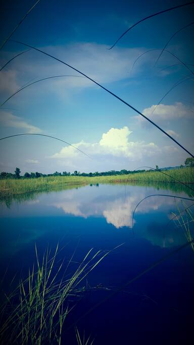 A lake in the resort is a sight for many birds and homegrown fish.