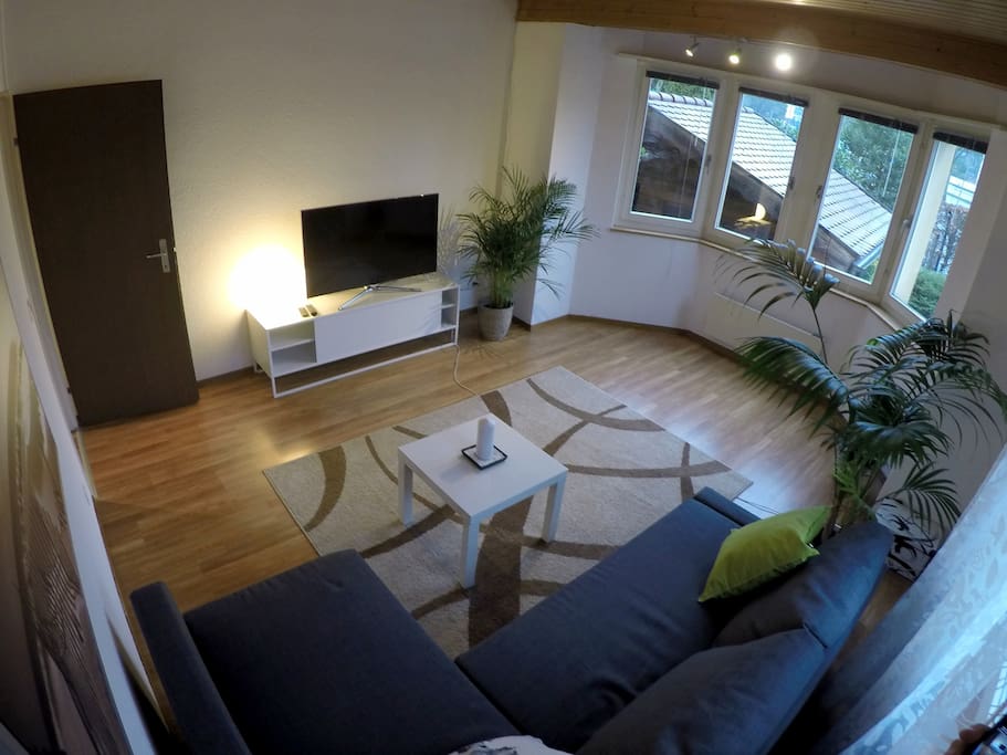 living room with sleeping couch TV and WiFi