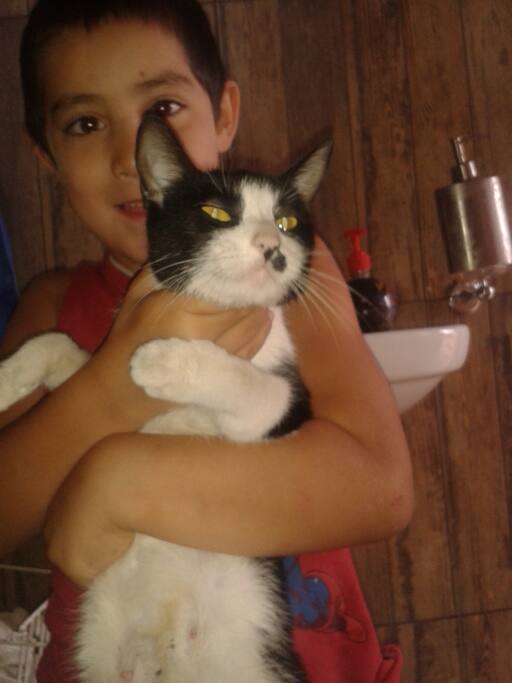 "Catrina" cat the power!