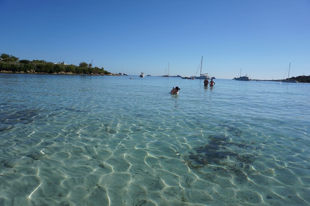 the beach