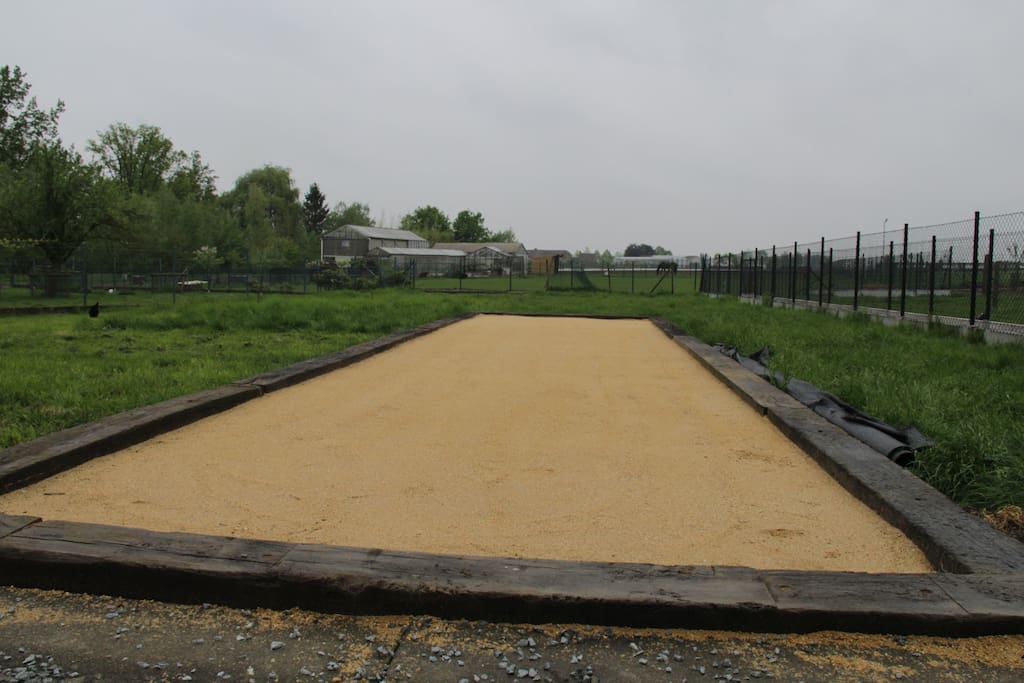 petanque