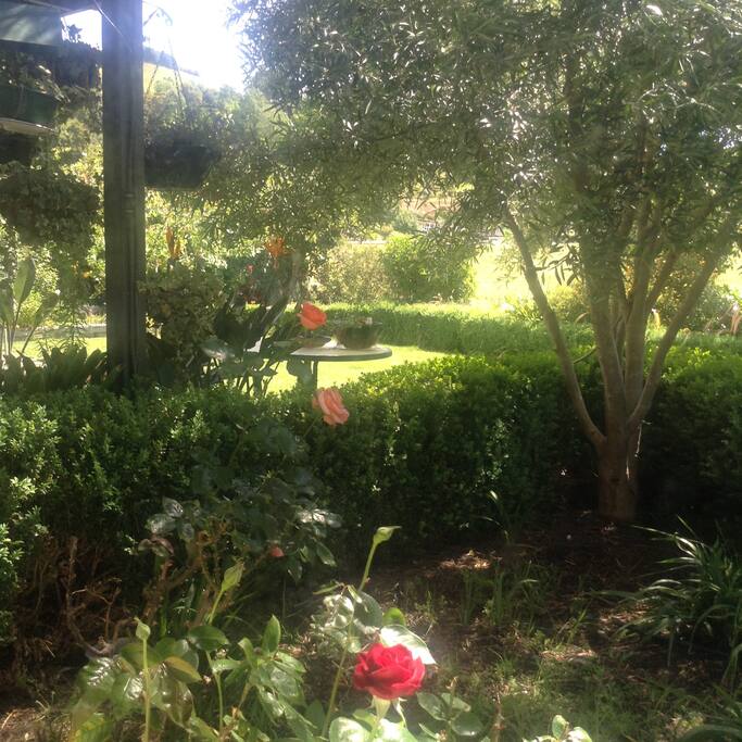 Garden views