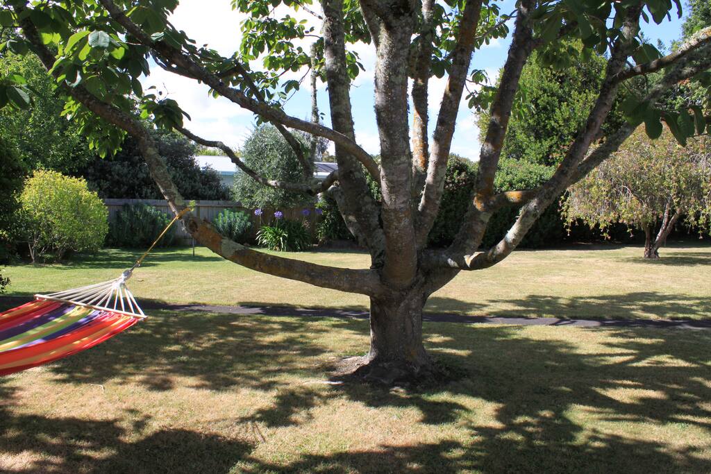 Relax in the hammock