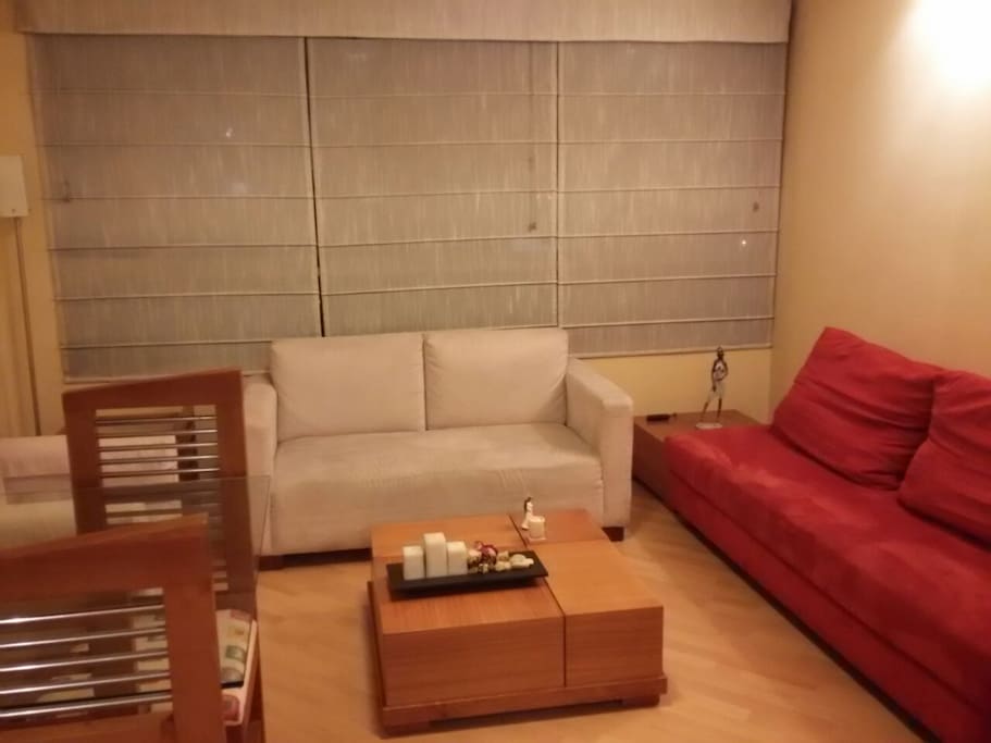 Sala con un sofá cama