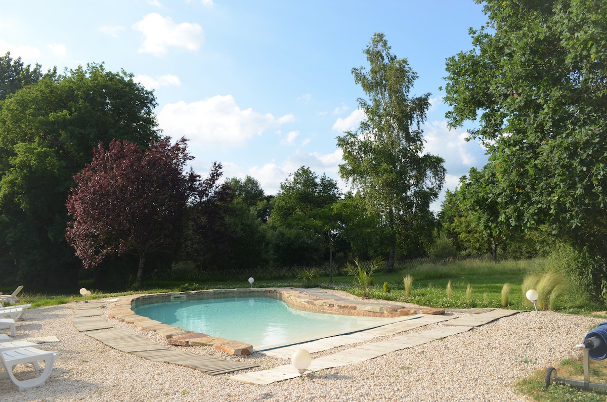 A serene outdoor space features a heated swimming pool surrounded by natural greenery. Smooth stone borders outline the pool, and soft light fixtures punctuate the area. Sun loungers are arranged nearby, inviting relaxation under the clear blue sky and among the trees.