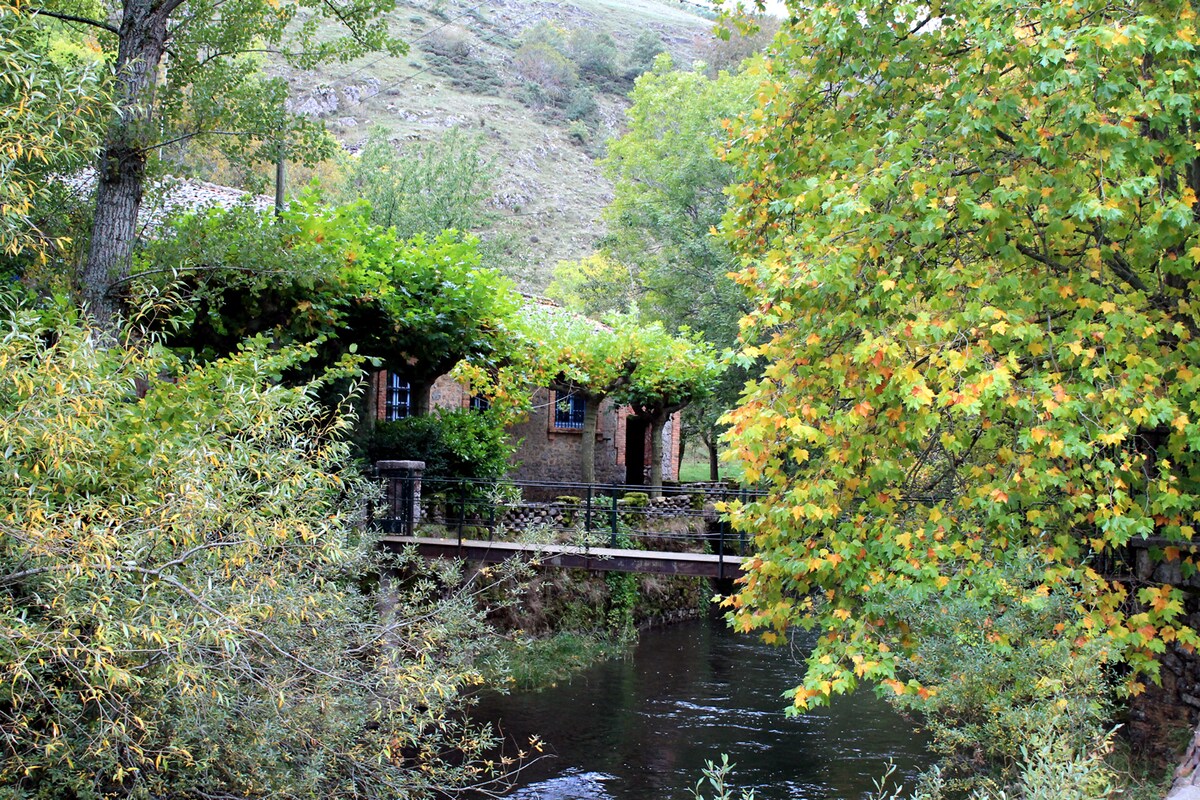 A charming building is partially covered by lush green vines, situated beside a flowing river. Vibrant autumn foliage frames the scene, with trees in shades of green and hints of yellow and orange. A simple stone bridge extends over the water, enhancing the tranquil landscape.