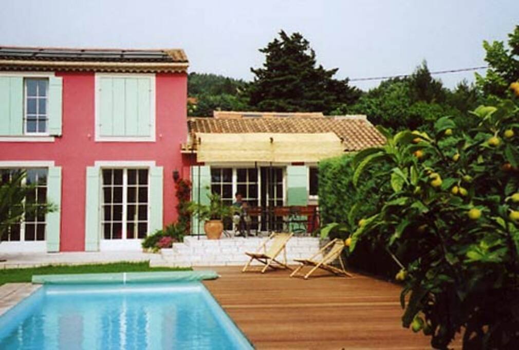 Back Garden