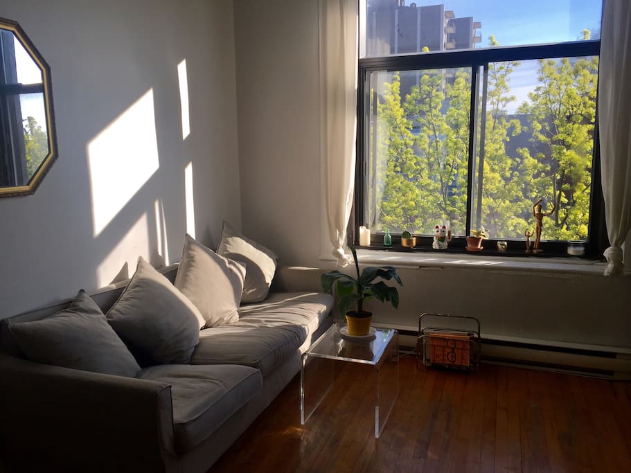 Living space overview at sunset