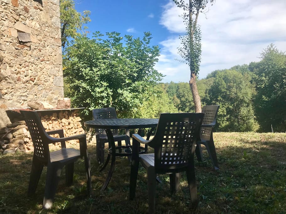 Table and chairs in the garden
