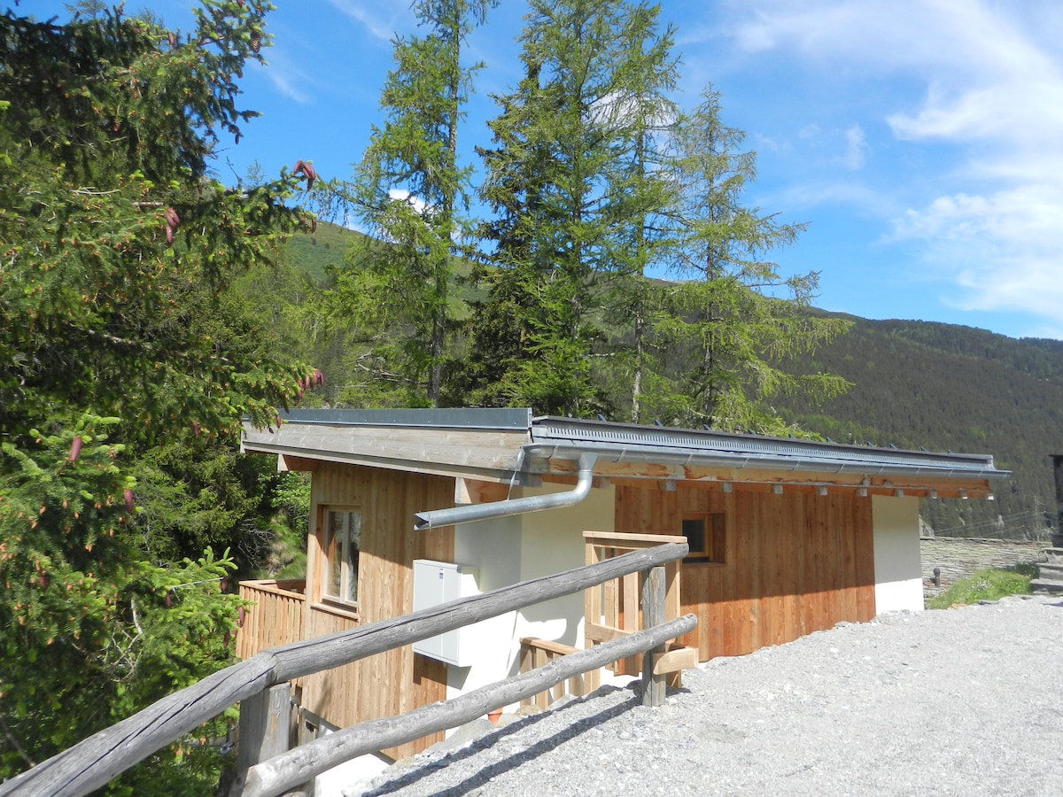 This image showcases a wooden cabin nestled among tall trees, surrounded by natural greenery. The sloping roof and rustic wooden exterior reflect the natural materials used in construction. The pathway leading to the cabin features a wooden railing, providing a welcoming approach to the entrance.
