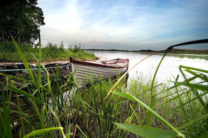 A small boat, partially visible, rests by the water's edge surrounded by tall grasses and reeds. The lake reflects a calm sky, creating a serene setting. The greenery frames the scene, emphasizing the natural beauty of the area beside Lough Sheelin.