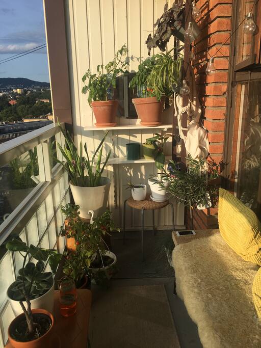 Cozy balcony