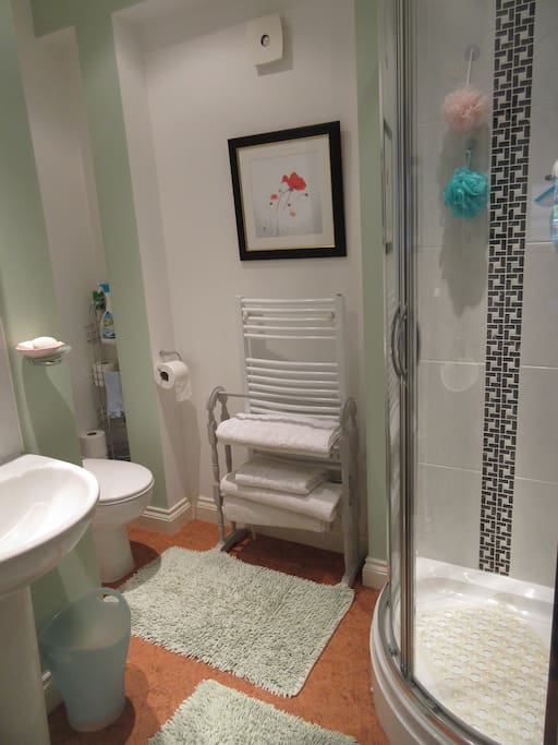 The en-suite shower room is equipped with white towels,complementary soaps, hair shampoo, shower gels and more. There is a hair dryer for your use.