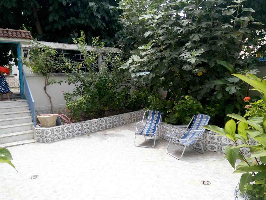 terrasse sud
