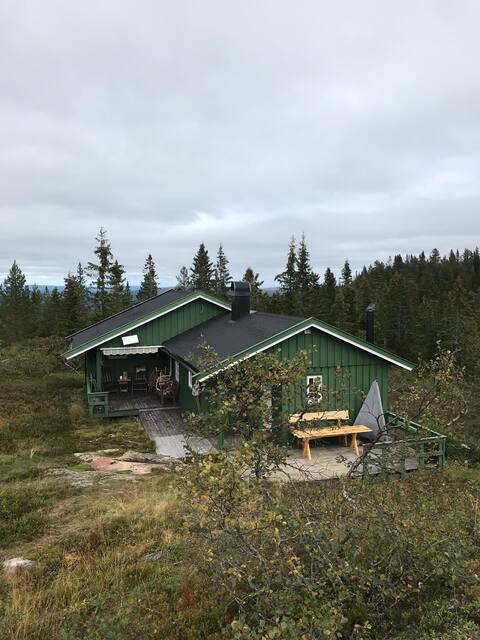 Cozy family cabin on a bleach mountain.