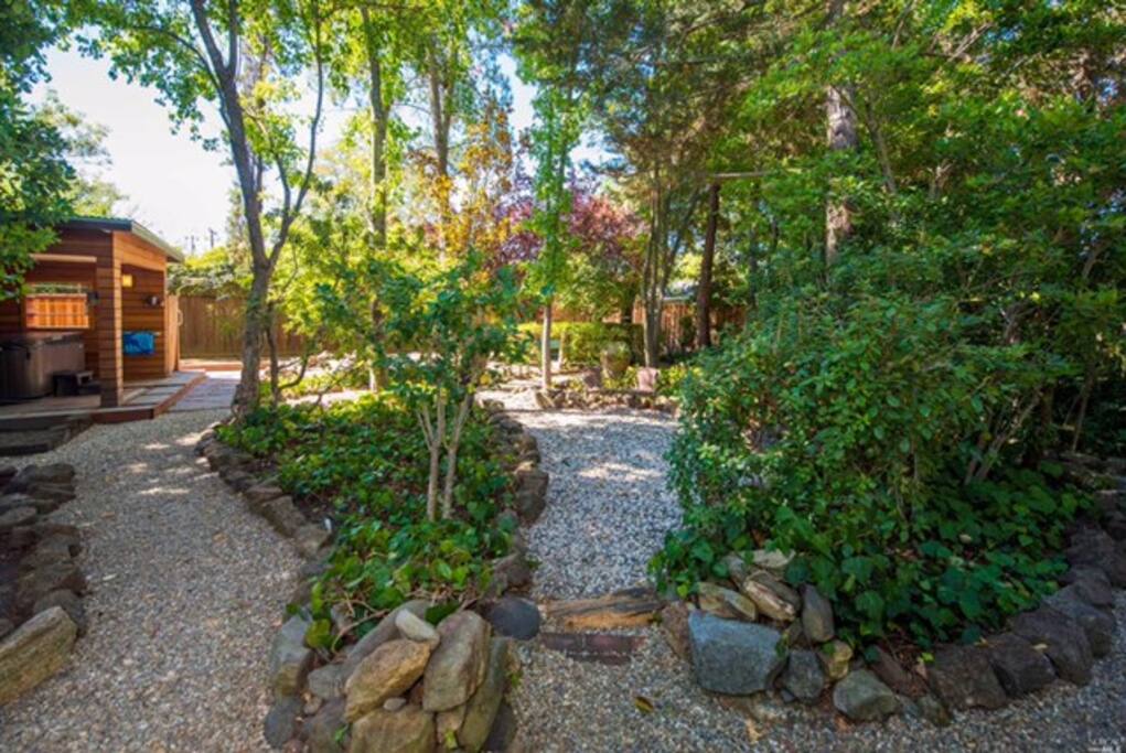 Back yard