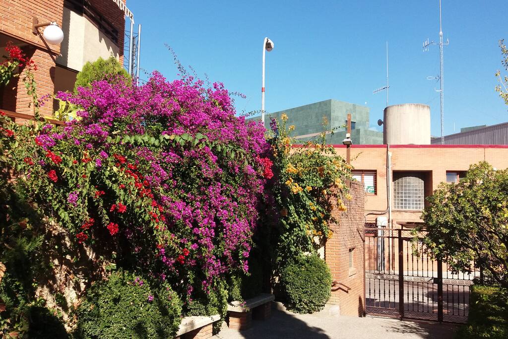 VISTA DEL PALACIO DE CONGRESOS DESDE LOS JARDINES. (EL CUBO VERDE)