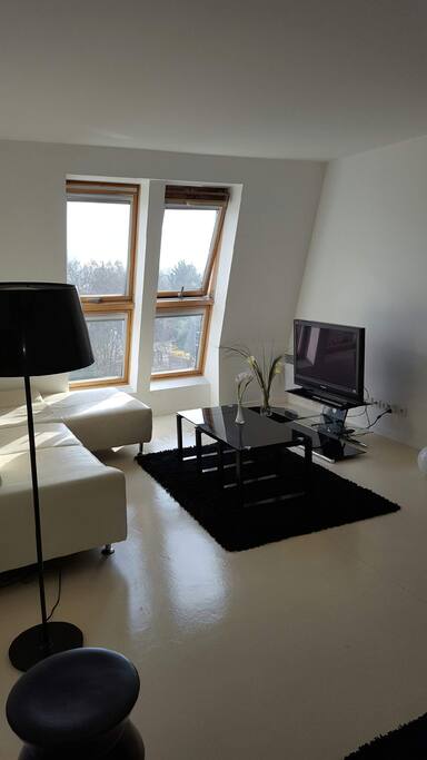 Salon/ Séjour/Salle à manger