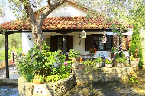 Cozy country house