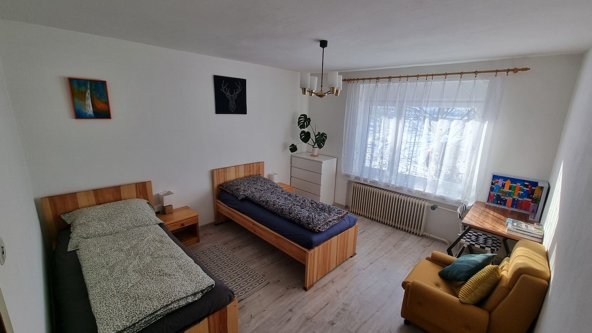 A bright room features two wooden beds with soft bedding, complemented by a cozy armchair. A window with sheer curtains allows natural light to fill the space. A dresser and a wall art piece add to the room's simple design.