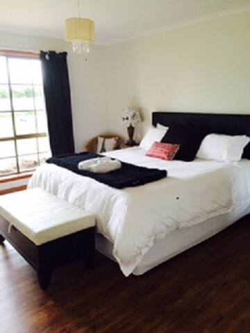 Animal Land Settlers Run