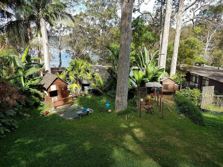 The backyard , and view from the guestroom