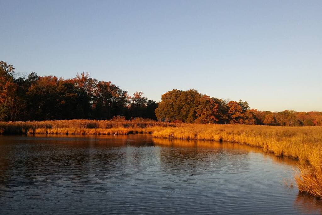 View from Community Dock. Oyster Creek, you can try your luck catching crabs off community dock or take off on a kayak.