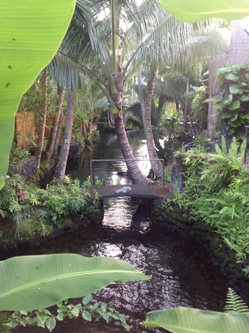 Pond and bridge