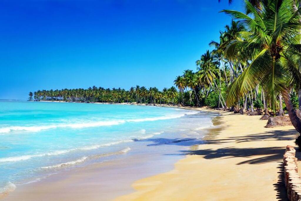 Front Beach