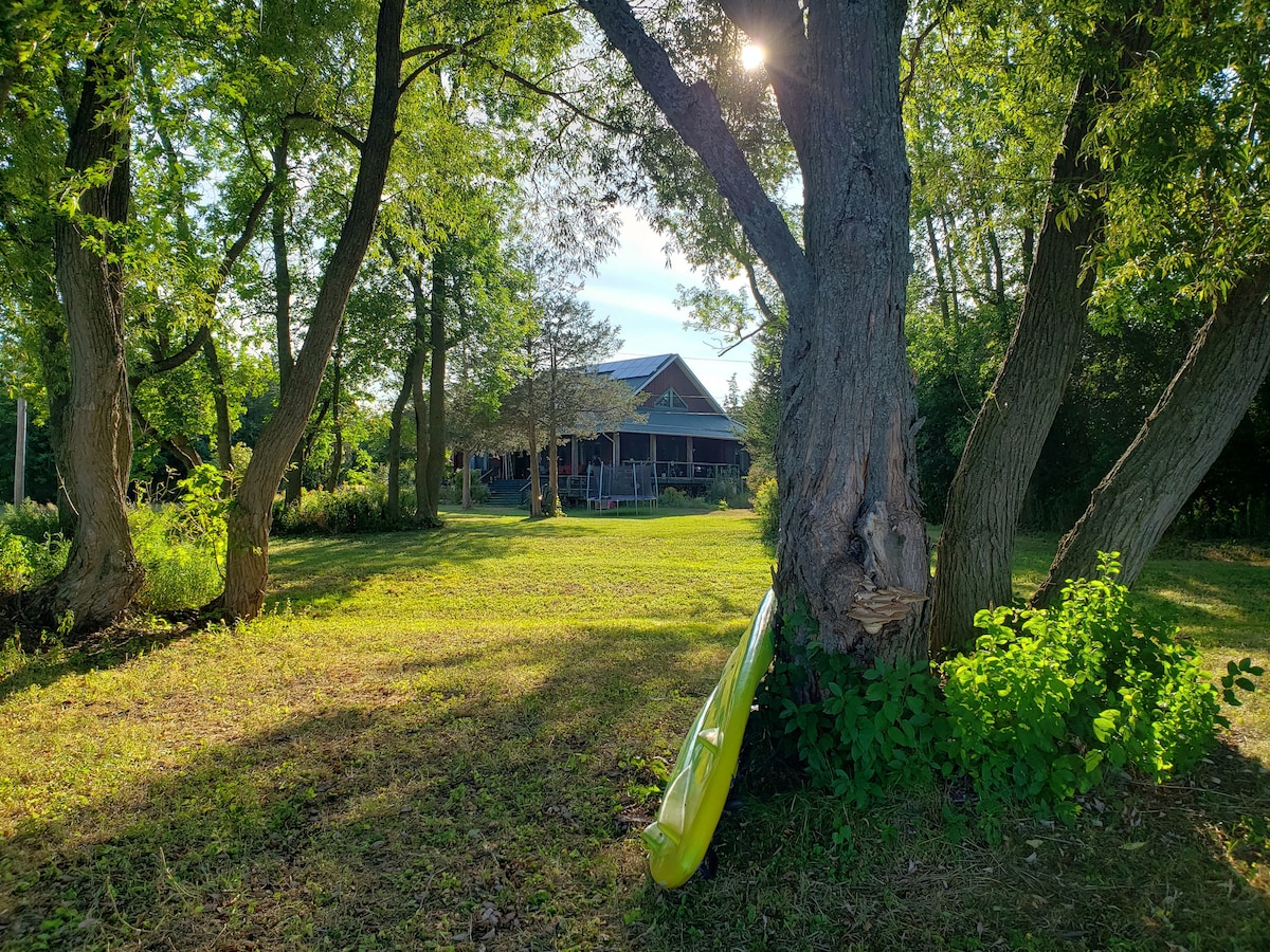 A vibrant outdoor scene highlights a grassy area bordered by trees, with sunlight filtering through the leaves. A bright yellow kayak leans against a tree trunk, suggesting outdoor activities. In the background, the wooden structure of the LakeHouse can be seen, surrounded by lush greenery.