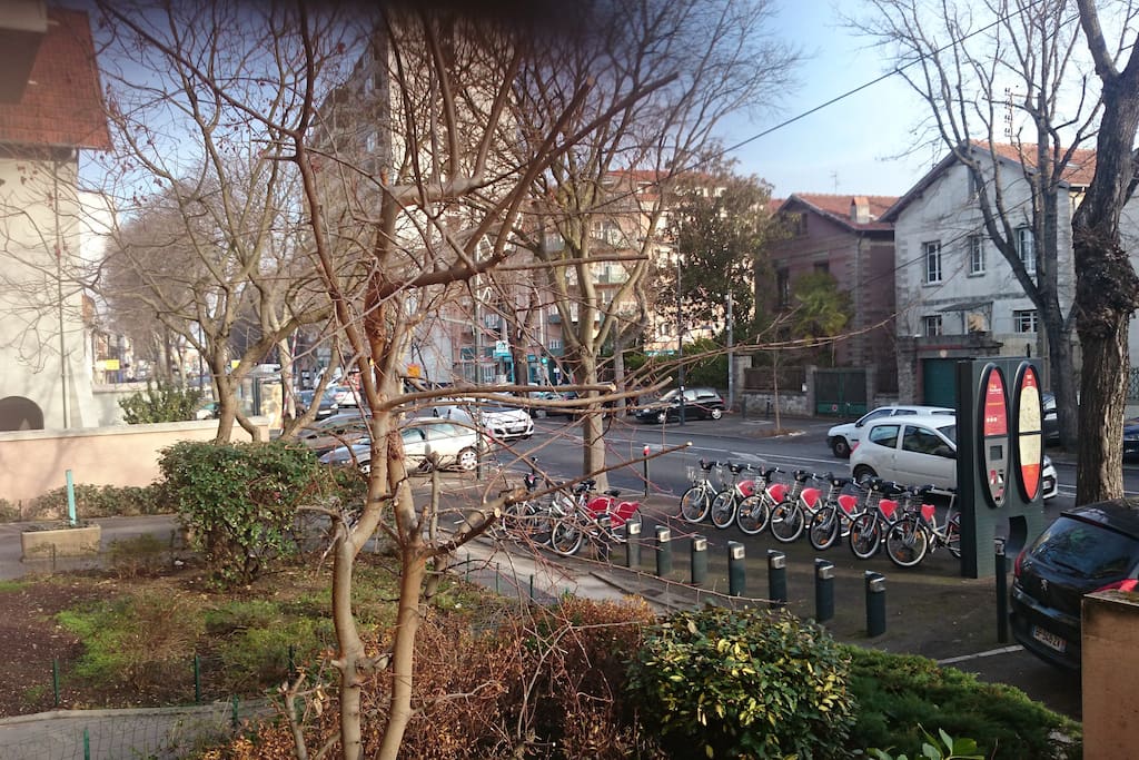 vue de l'avenue