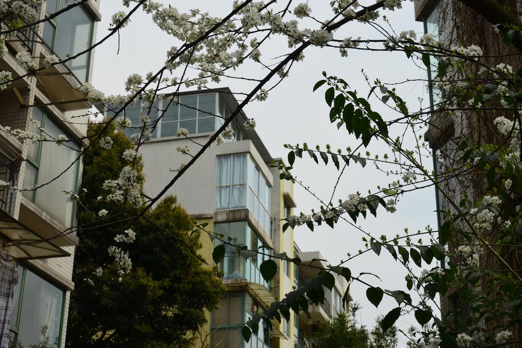 小区实景