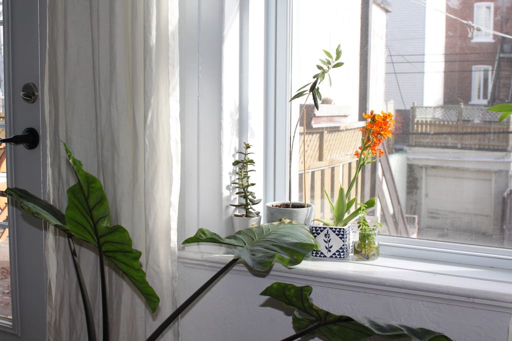Une très belle luminosité partout dans l'appartement