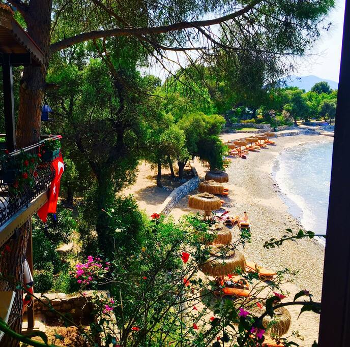 Plaja sıfır