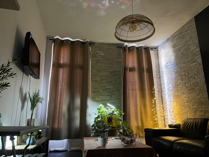 The charm of the old in the city center. Apartments for Rent in