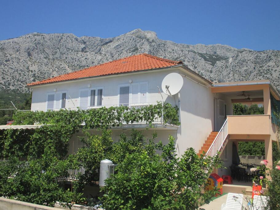 The house