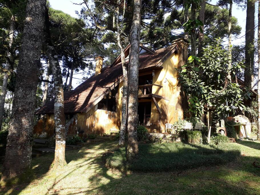 lateral da casa com jardim
