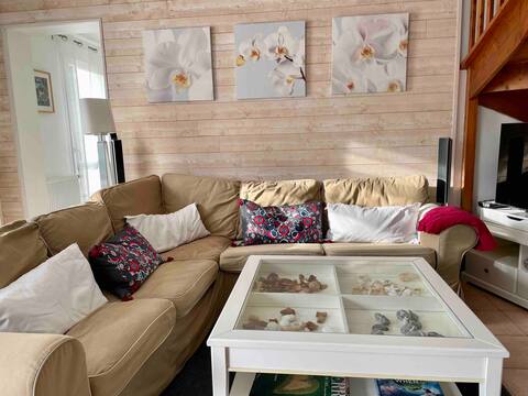 Top performing Airbnb: Meyzieu: Cozy house on the outskirts of Lyon in Métropole De Lyon