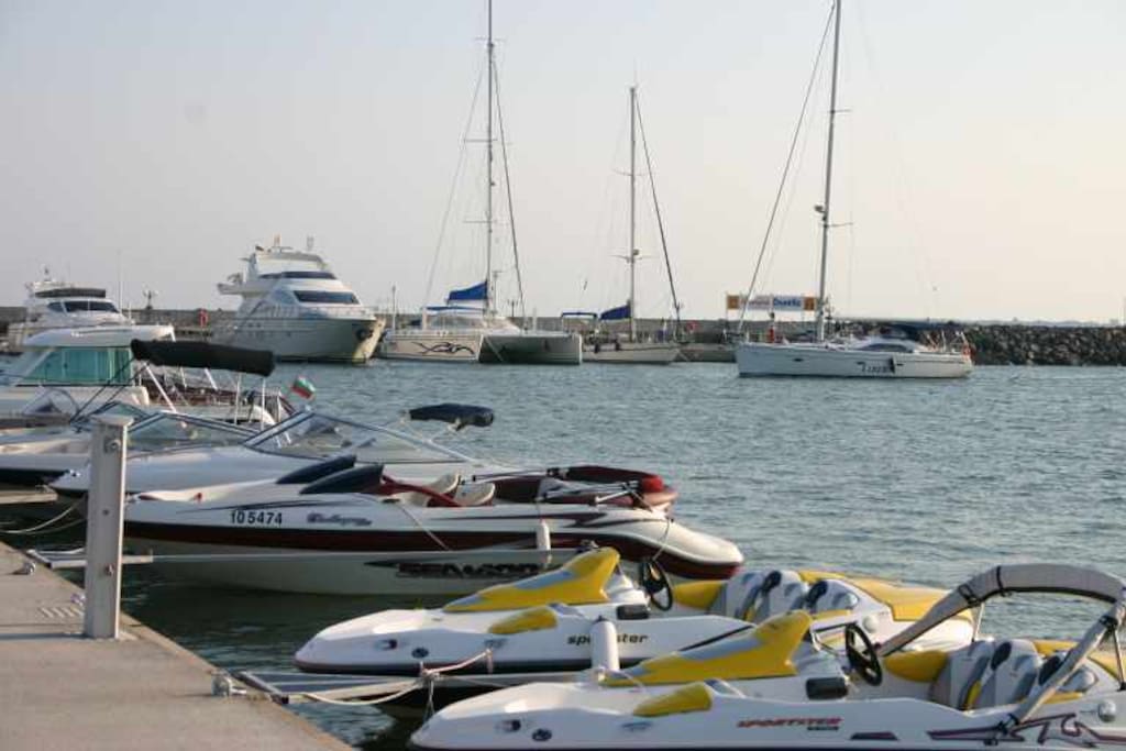 The marina