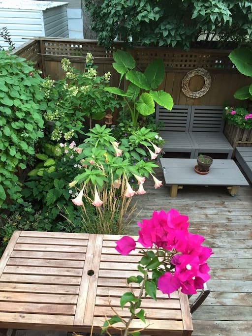 Coin apéro dans le jardin