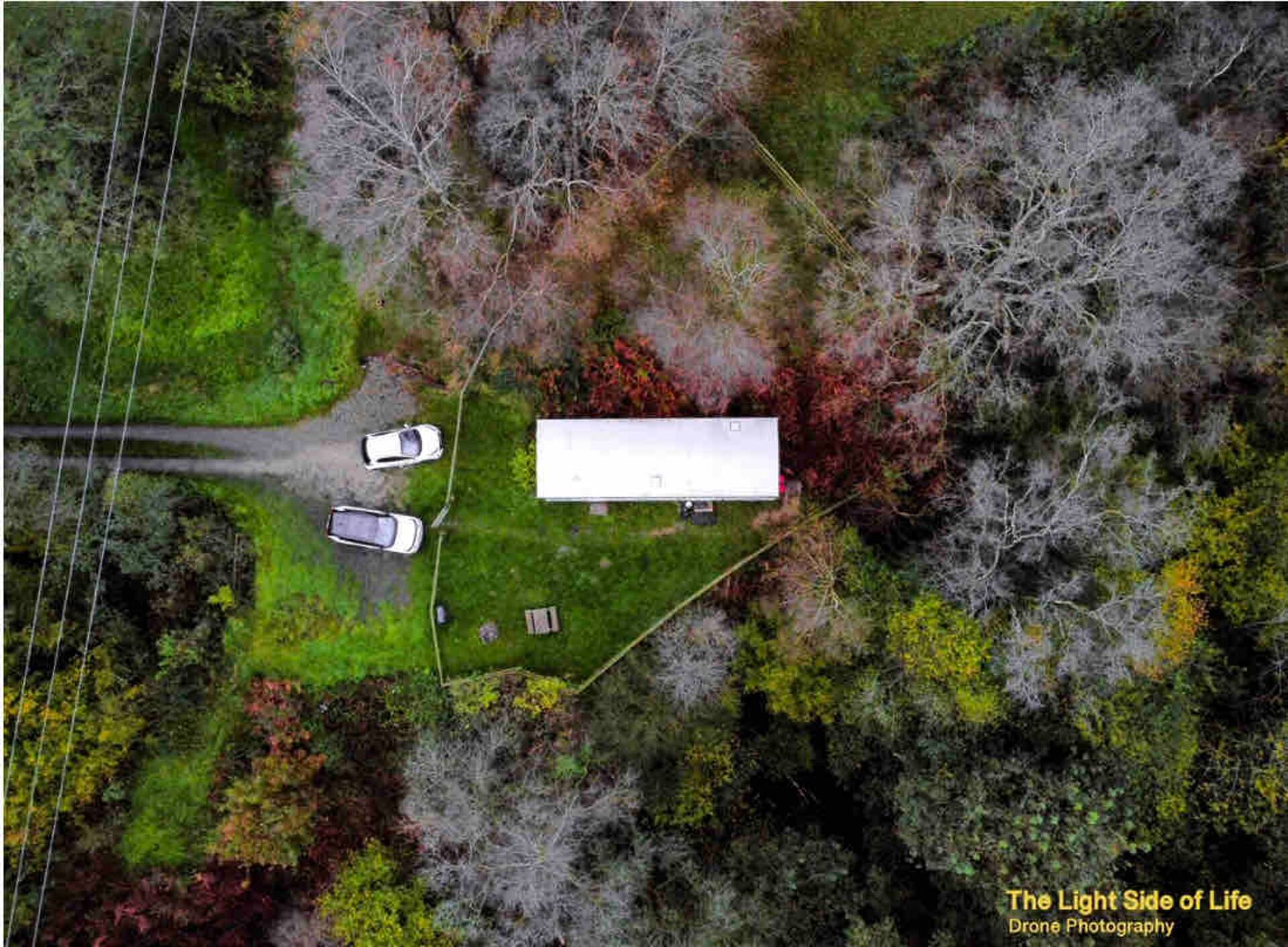 Hideaway in the Woods